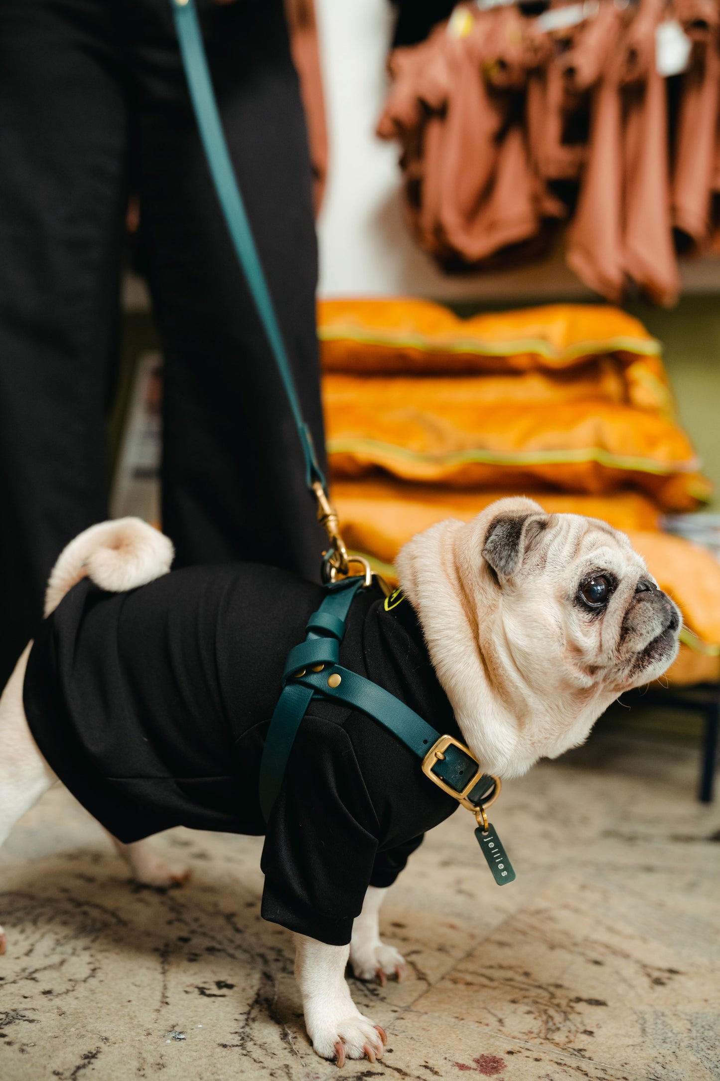 HOUND oprsnik