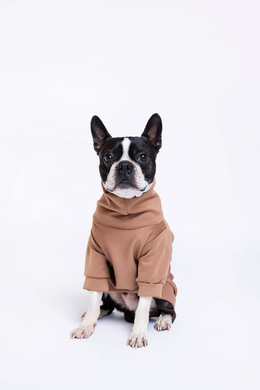 MAZADOGWEAR duks REGULAR