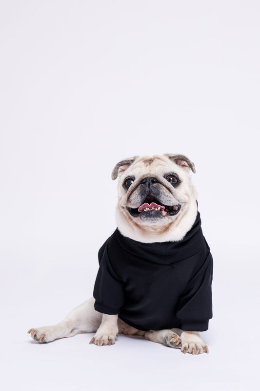 MAZADOGWEAR duks WIDE
